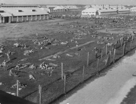 Шталаг 355 (Stalag 355) – концтабір в м. Проскурів (Хмельницький) — фото 2