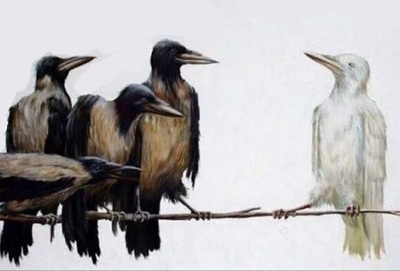 ТОЛЕРАНТНІСТЬ ЯК БАЛАНС — фото 2